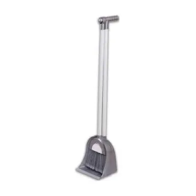 Cleaning Broom and Dustpan